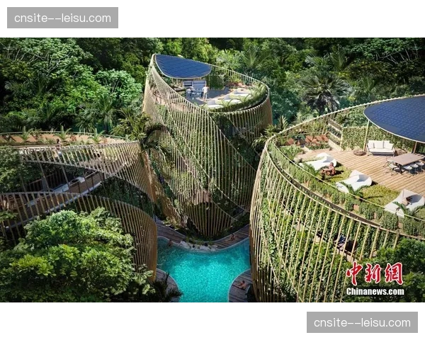 垂直体育社区生态重构 赛事官网社交功能回潮